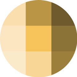 YELLOWS - Happiness, Hope, Energy, Fun